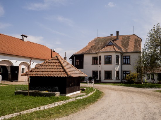  (foto 6)
