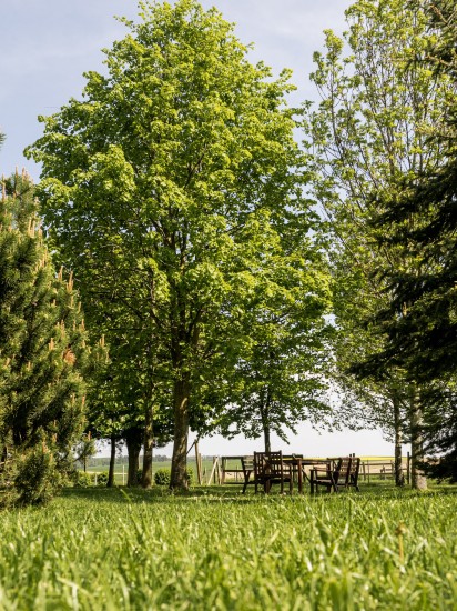 Sobotní faremní prodej (foto 15)