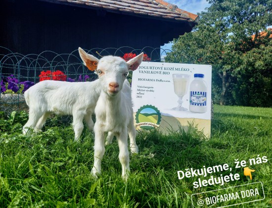 Ocenění (foto 4)