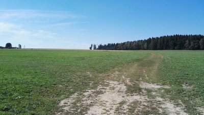 Přilehlé pozemky kozí farmy ZN Agro